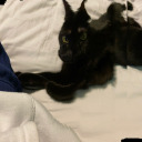 timeforyoutogetawaffle avatar