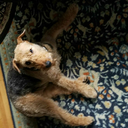 timehascomethe avatar