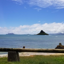 timehealsthepain avatar