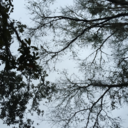 timeisthestream avatar