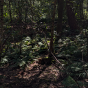 timeisthesubstanceimmadeof avatar