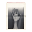 timeisthetiger avatar