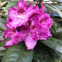 timelordteacher avatar