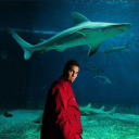 timeoutmydear avatar