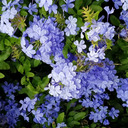 timeoverdrive avatar