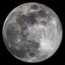 times-new-normal avatar