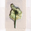 timesbyinfinity avatar