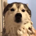 timeto1ove-archive avatar