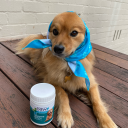 timetoskedaddle avatar