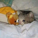 timetravelingphoenix07 avatar