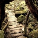 timetravelingslytherinincamelot avatar