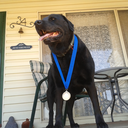 timetraveller42 avatar