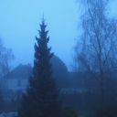 timetravelstrawberry-blog avatar