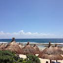 timewastedon-us avatar