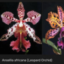 timewize-blog1 avatar