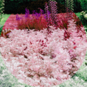 timewoundsallheals avatar