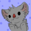 timidkoala avatar