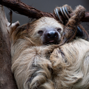 timingisimportant-blog-blog avatar