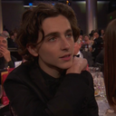 timothee-hal-chalamet avatar