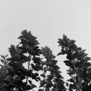 tina-i-a-m-here avatar