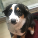 tinatunafishy avatar