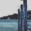 tinerowski-blog avatar