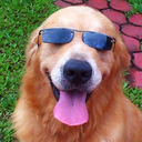 tinglingandnumbness avatar