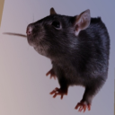 tinsel-rat avatar