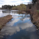 tintinthesolitude avatar