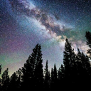 tinuviel-tinuviel avatar