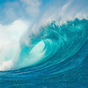 tiny-bowl-of-sunshine avatar