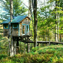 tiny-house-galore avatar
