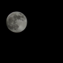 tiny-little-guy avatar