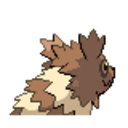 tiny-raccoon-pokemon-blog avatar