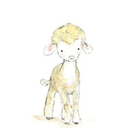 tiny-sheep-blog avatar