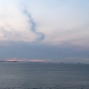 tiny-skeleton-bird avatar