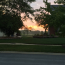 tinybutviciousandwillfightyou avatar