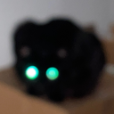 tinycraphole111 avatar