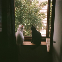 tinyeggpatrolsuitcase avatar