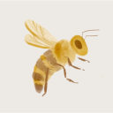 tinyfemmehoneybee avatar