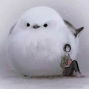 tinyfoxpainter avatar