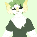 tinyfrewtbat avatar