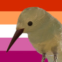 tinyglassbird avatar