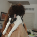 tinyhandstudios avatar