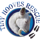 tinyhoovesrescue-blog avatar