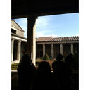 tinyhouseblogging avatar