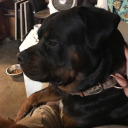 tinyhousedesert avatar