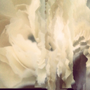 tinyhousegirl-blog avatar