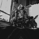 tinyhumanbeing03 avatar