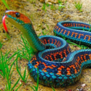 tinyinternetconnoisseur avatar